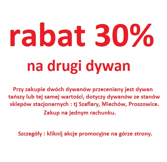 RABAT 30% NA DRUGI TAŃSZY DYWAN